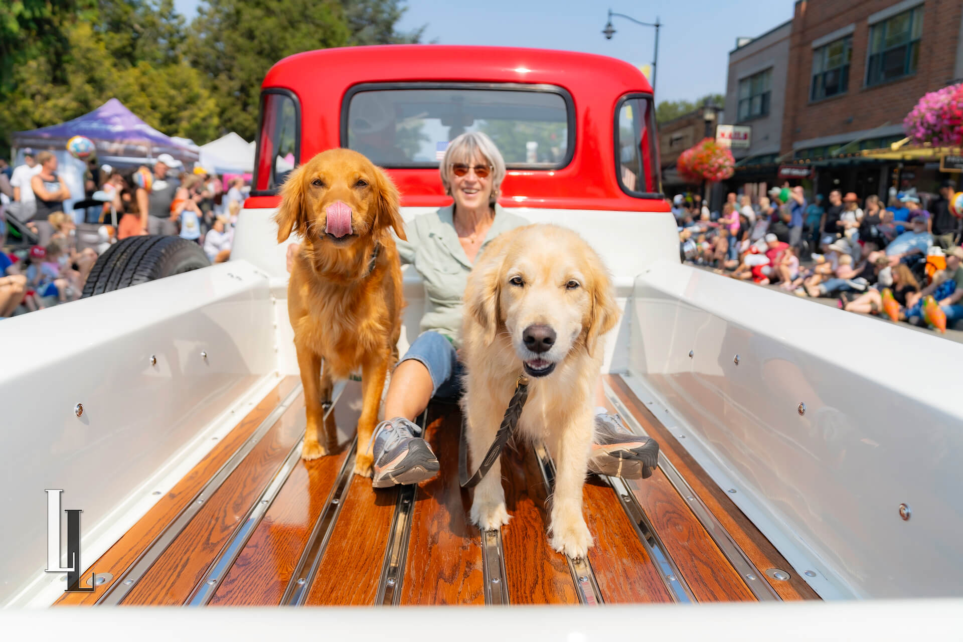 Salish Veterinary Hospital Golden Retrievers