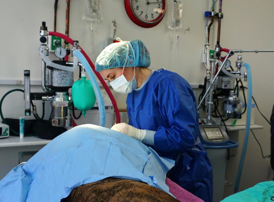 Dr. Kent in Surgery
