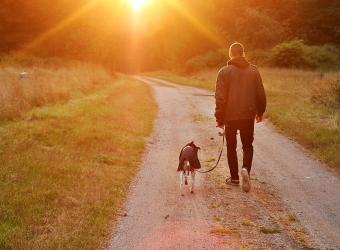 Hospice Care and Euthanasia: When It’s Time to Say Goodbye